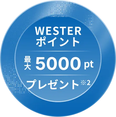 30年間の電気代500万円以上節約
