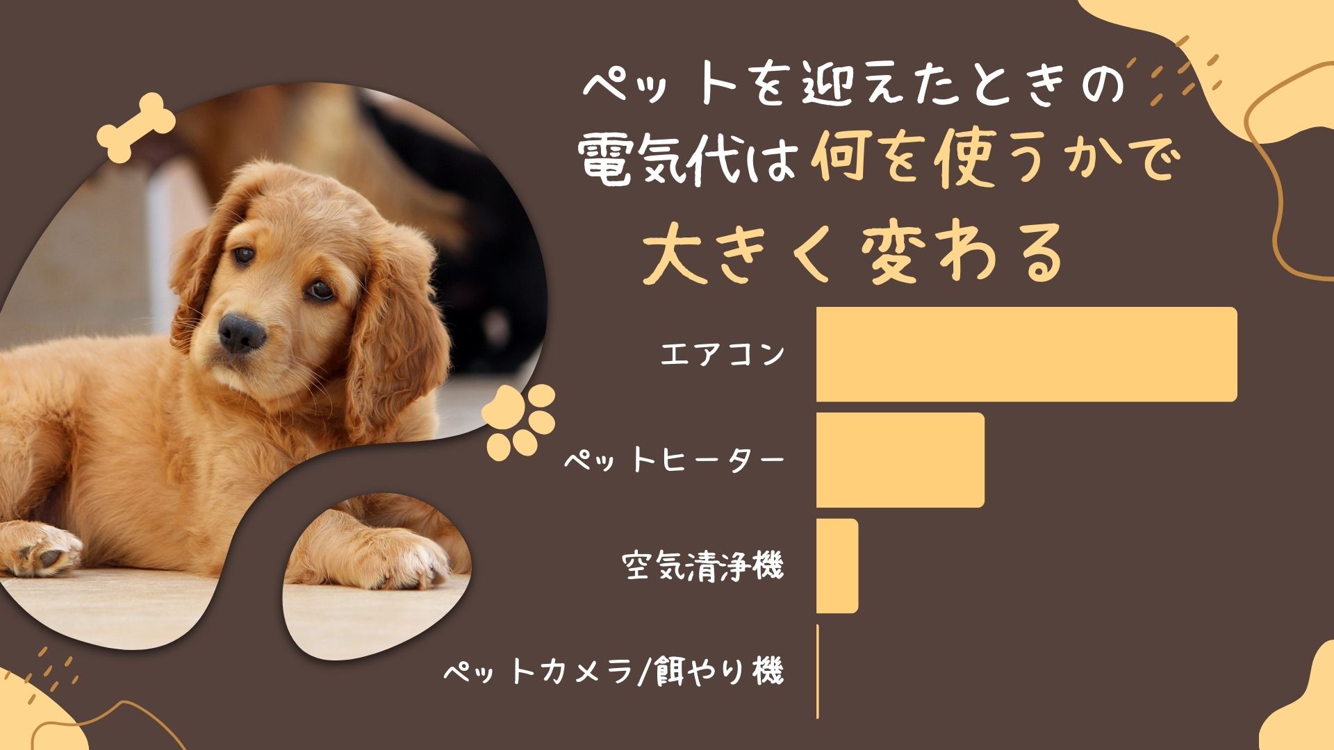 ペットの電気代はいくら上乗せされるのか？