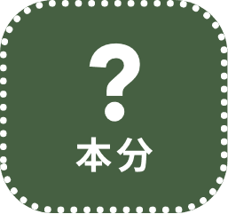 植林効果