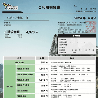 料金明細書サンプル