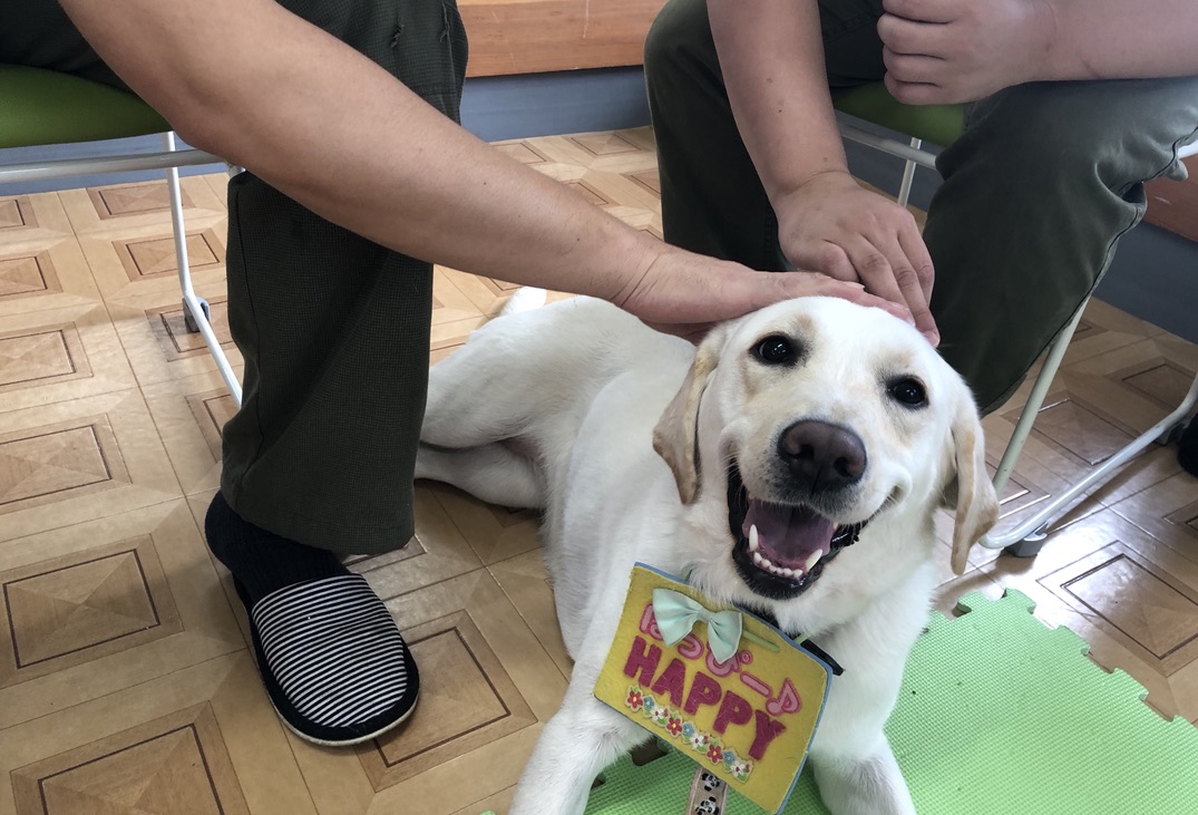 災害救助犬の大活躍