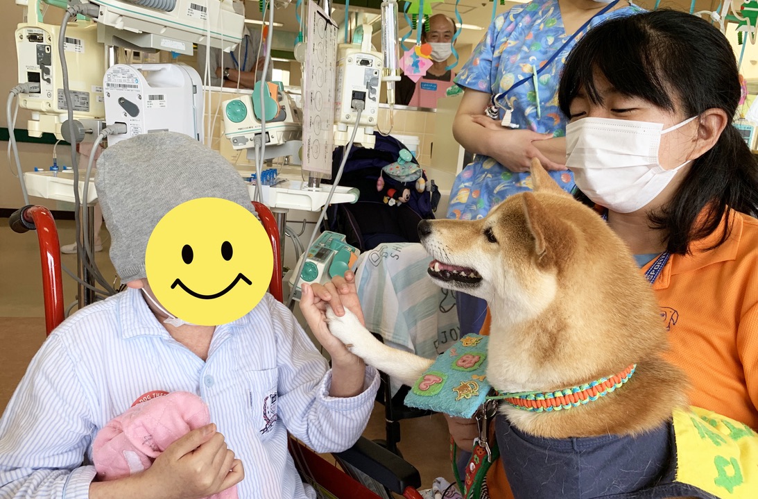 セラピードッグを育成・派遣する