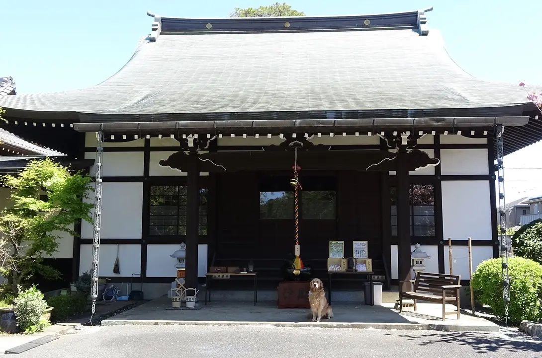 ハチドリのひとしずく の物語が比叡山の教えに重なりました ー天台宗高龍山明王院 普賢寺 小野常寛氏 ハチドリ電力