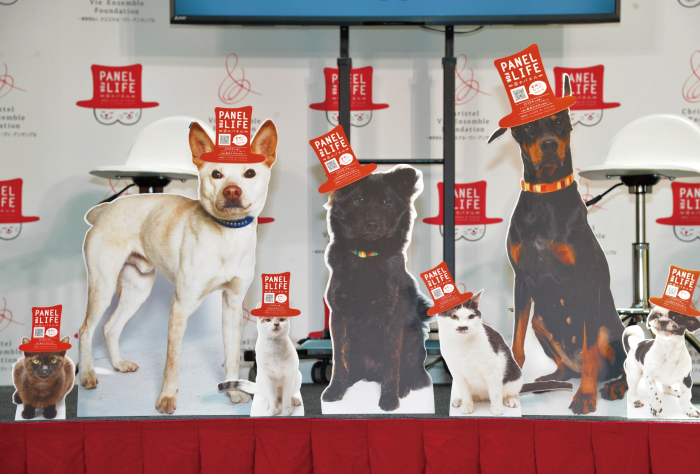 一般財団法人<br data-src-webp=