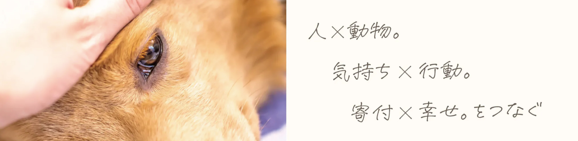 公益社団法人アニマル・ドネーション