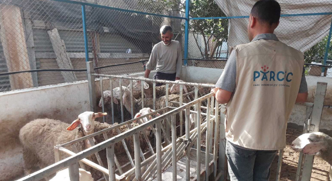 暮らしを取り戻す復興支援